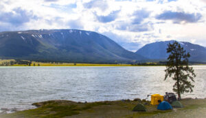 where to camp at roosevelt lake az