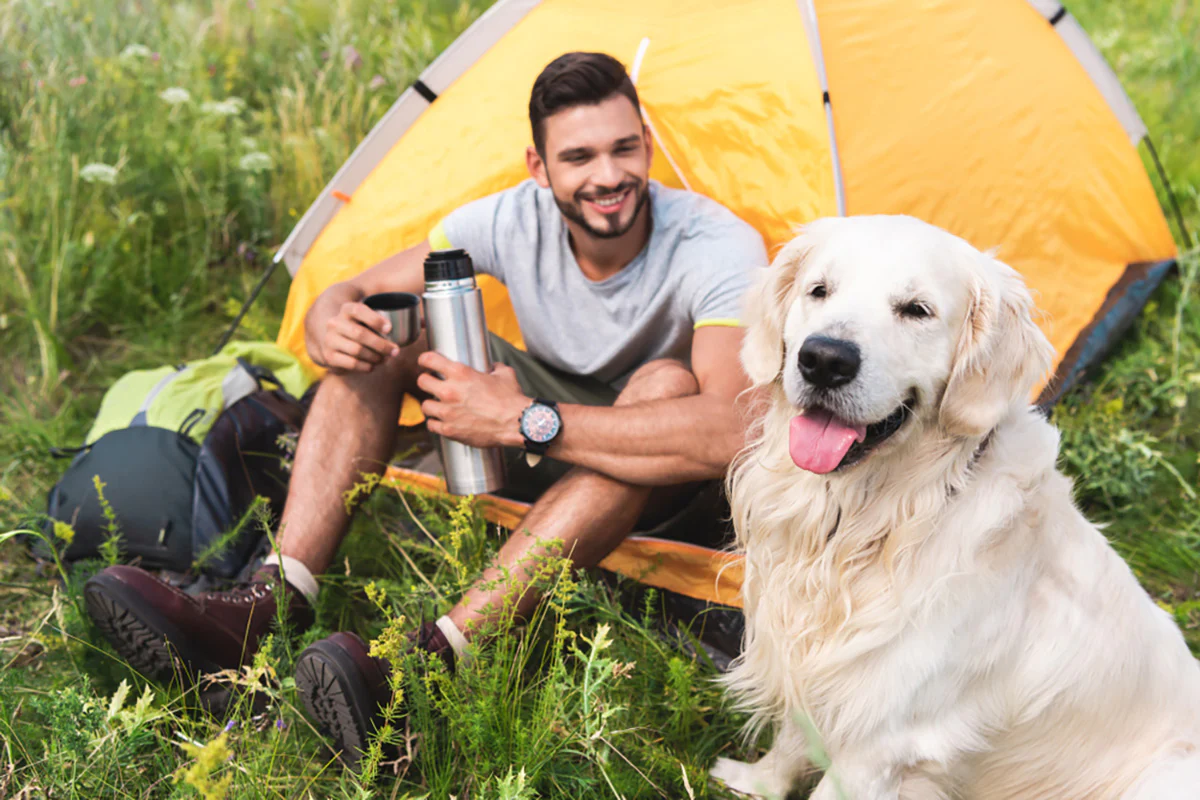 taking your dog camping for the first time